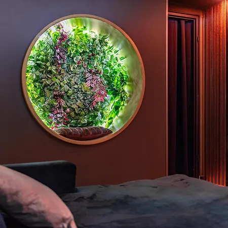 L'insolite, Privatif * Toulouse