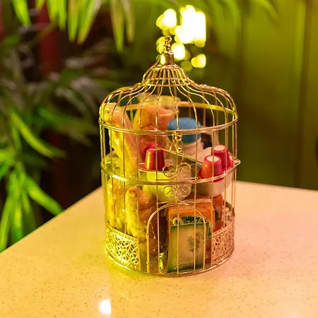 L'insolite, Privatif شقة تولوز